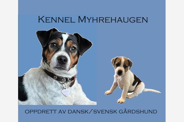 Myhrehaugen